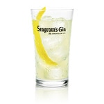 Dry Gin bottle 70 cl