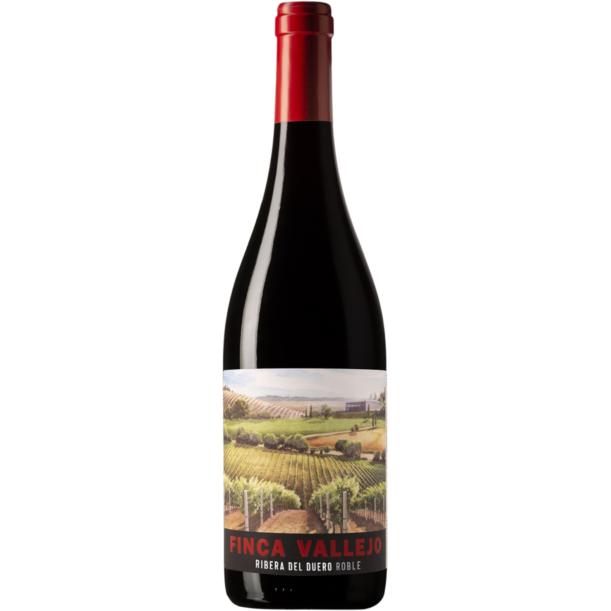 vino tinto roble DO Ribera del Duero botella 75 cl