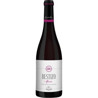 vino tinto DO Bierzo botella 75 cl - Bestizo