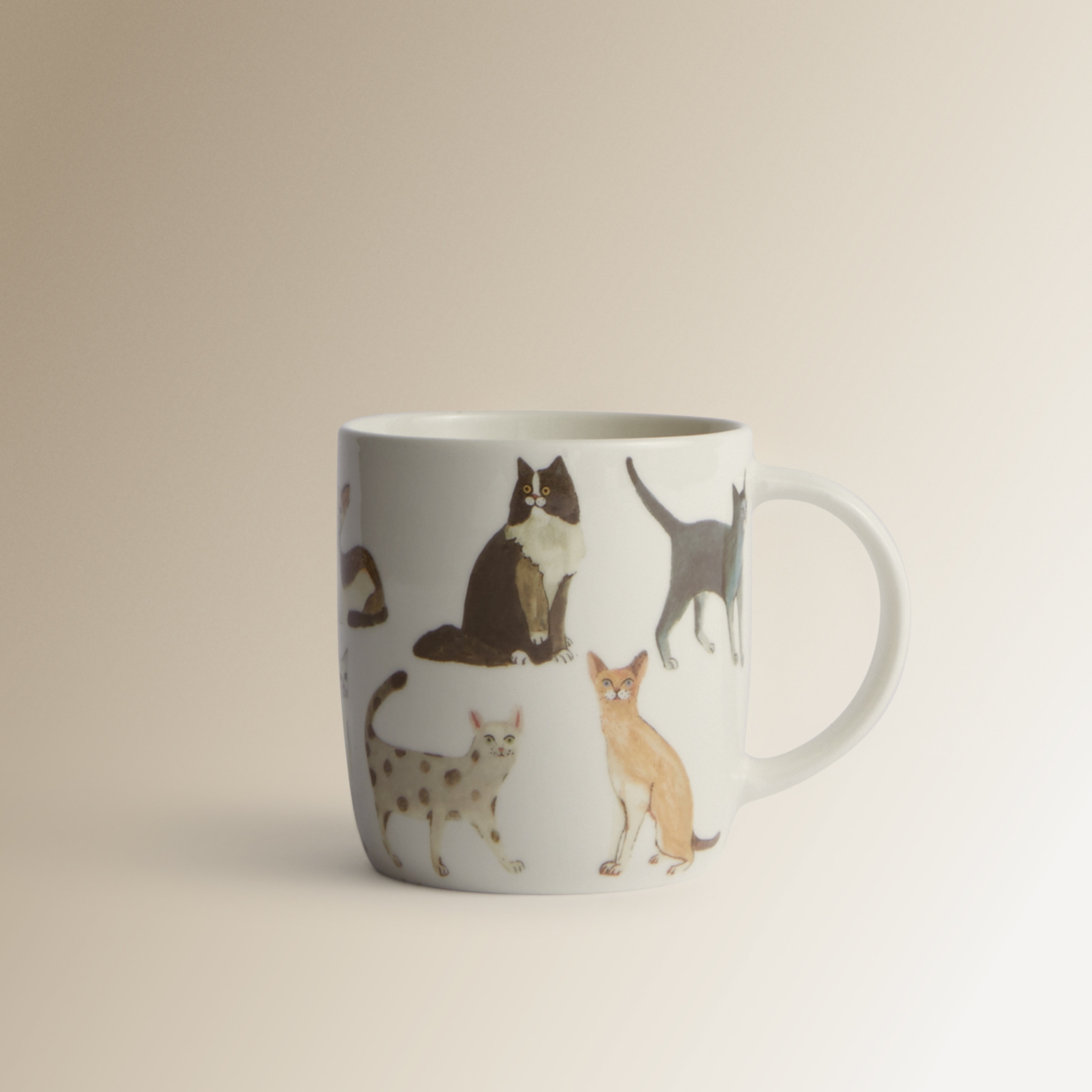 Caneca Gatos Multicolor-1