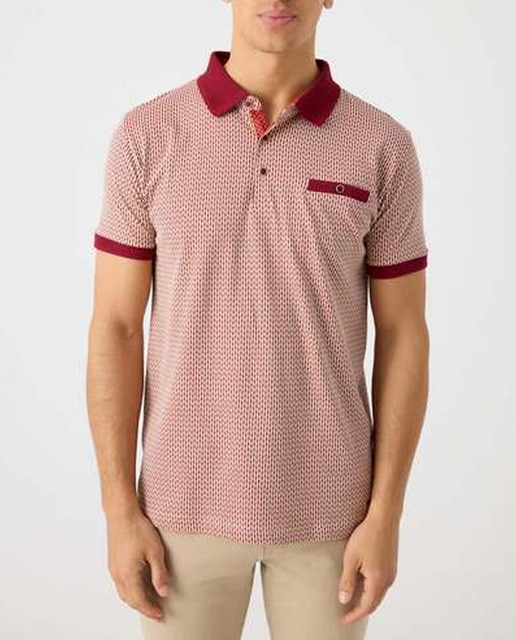 Imagen 0 de Polo hombre