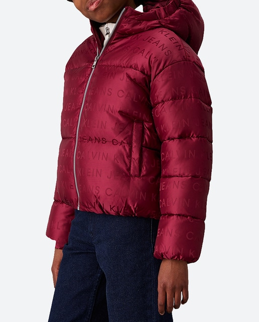 Imagen 0 de Plumífero con capucha y cremallera de niña