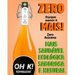 Bebida Chá Fermentado de Pêssego embalagem 750 ml