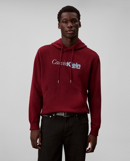 Imagem 0 de Sweatshirt com Capuz