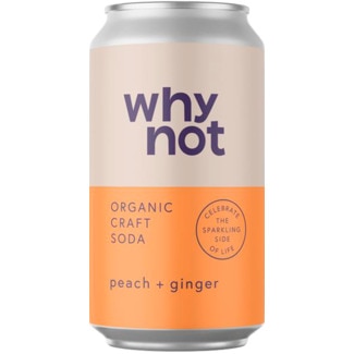 Soda Pêssego e Gengibre lata 330 ml - Why Not