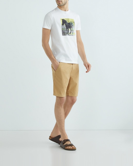 Imagen 0 de Camiseta de hombre manga corta cebra