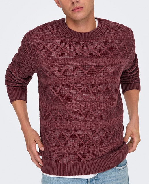 Imagen 0 de Jersey de punto de hombre regular fit