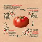 Tomatensauce aus Vegas del Guadiana glutenfrei Flacon 360 g