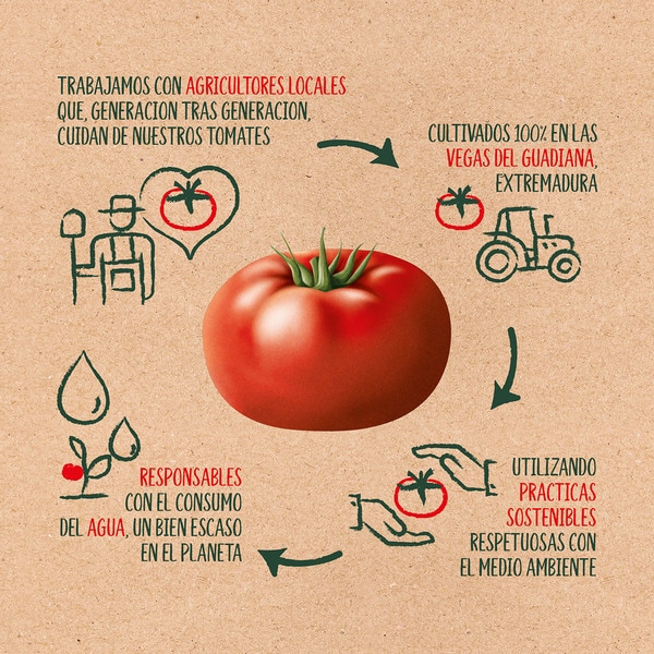 Tomatensauce aus Vegas del Guadiana glutenfrei Flacon 360 g