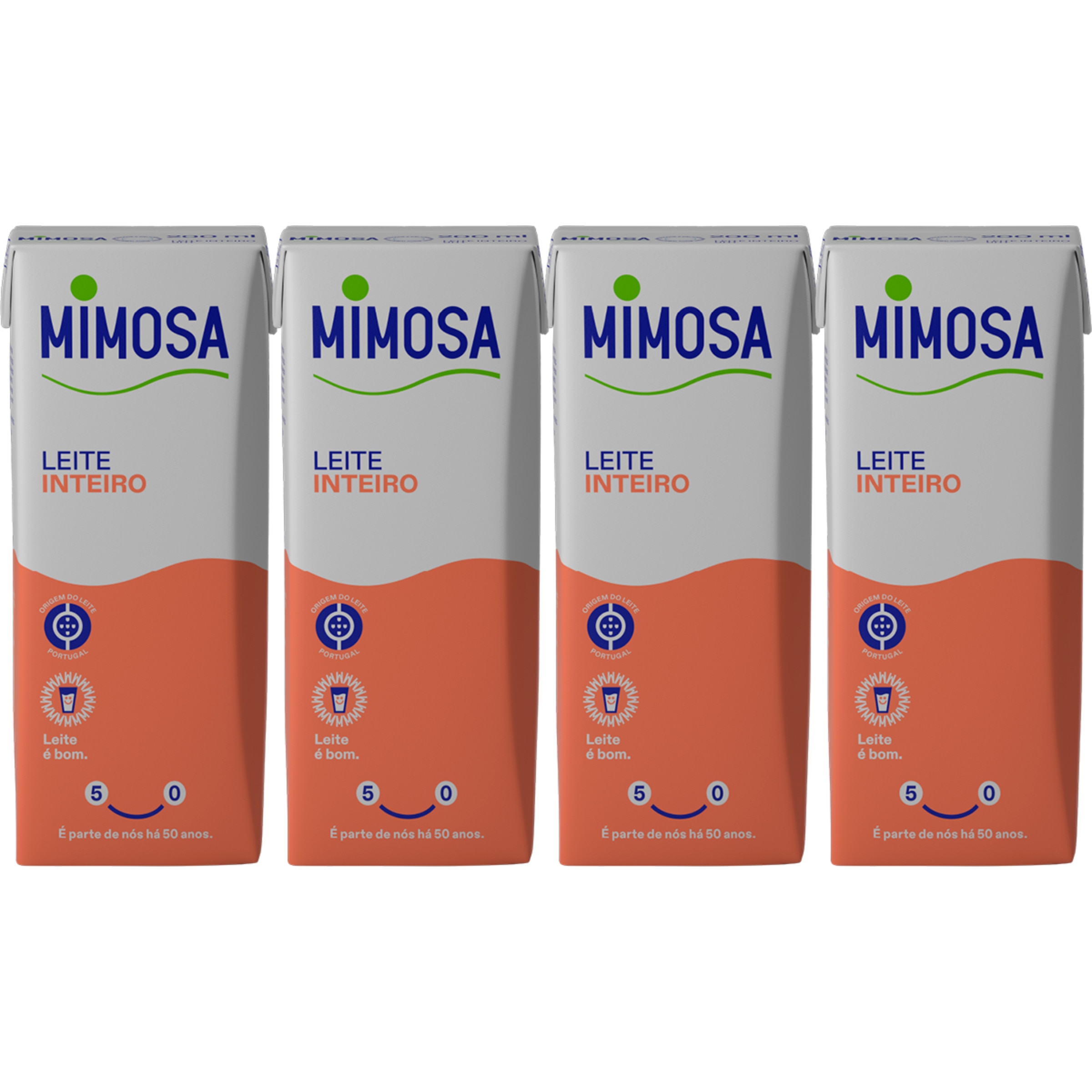 Leite Gordo Pack 4 unidades embalagem 200 ml