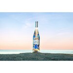 vino rosado Côtes de Provence Francia botella 75 cl