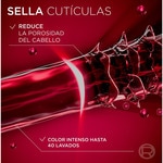 Shampoo Color Vive Farbschutz für gefärbtes Haar oder Strähnchen Flacon 400 ml