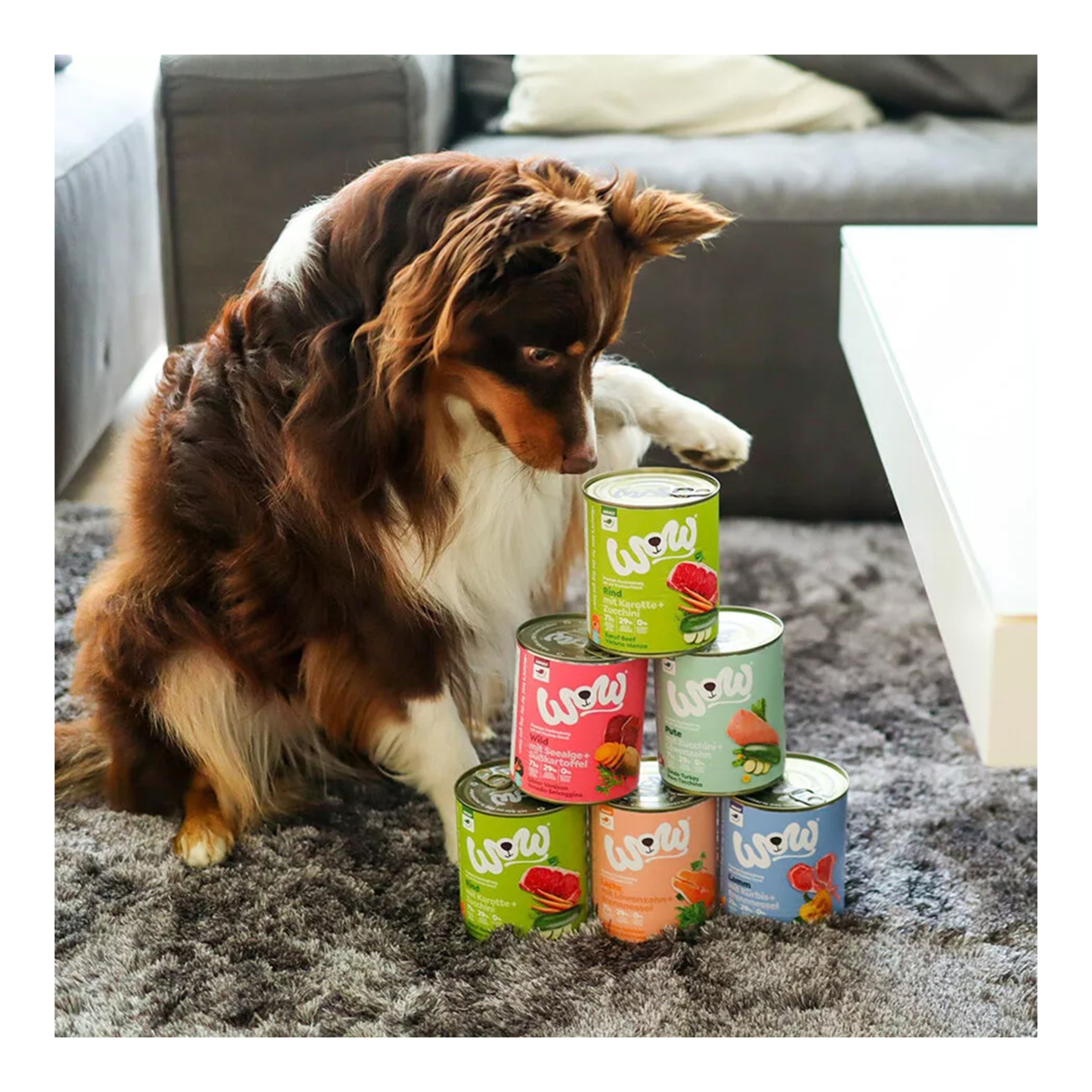 Comida húmeda para perros adultos Wow Multipack 6 x 800 g 3