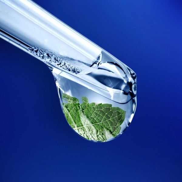 Anti-Schuppen-Shampoo Pro-Expert 7 in 1 Juckreizlinderung Flacon 300 ml