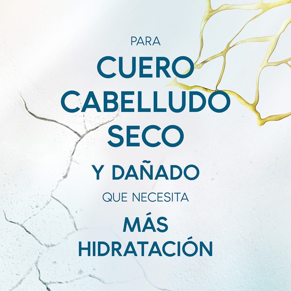 Derma X PRO balm with moisturising rinse with hyaluronic acid doser 145 ml for dry scalps