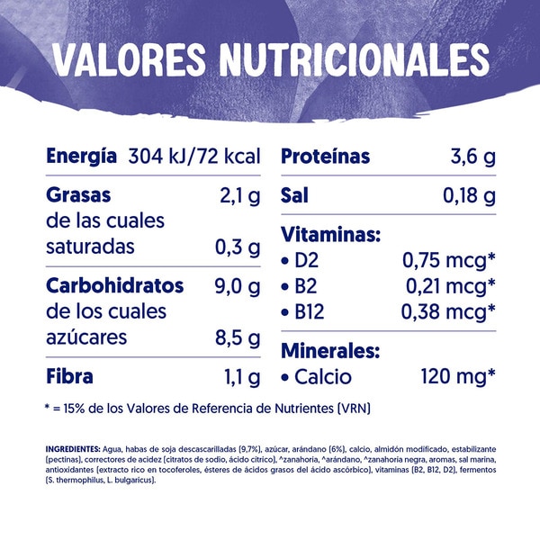 Big Pot pflanzliche Soja-Spezialität Blaubeermuffingeschmack Behälter 400 g