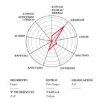 Helles Spezialbier 12er-Pack Dosen 33 cl