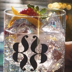 Tonic Water Aromatic Berry mit Waldbeer- und Jasminnoten Dose 25 cl