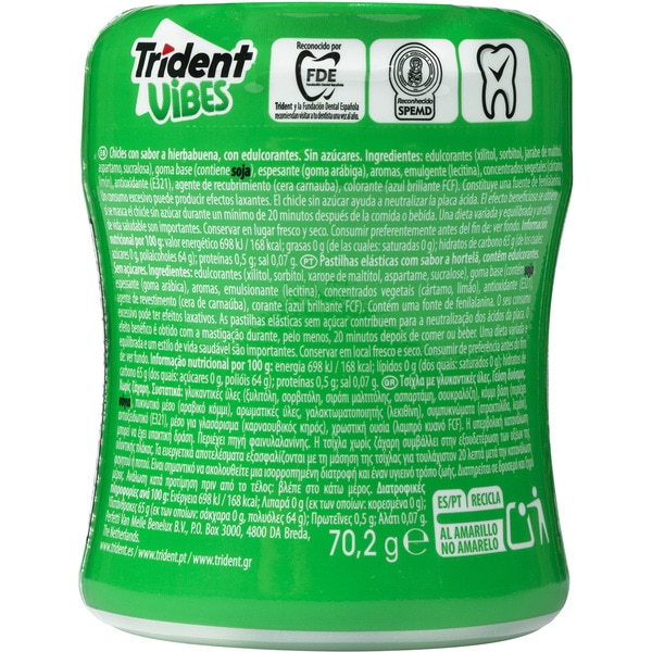 Vibes sugar-free spearmint chewing gum can 30 units