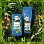 Bio renew reparierendes Shampoo Argan-Öl aus Marokko Flacon 350 ml 0% Parabene, Paraffin, Farbstoff und Phtalate