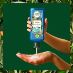 Bio renew reparierendes Shampoo Argan-Öl aus Marokko Flacon 350 ml 0% Parabene, Paraffin, Farbstoff und Phtalate