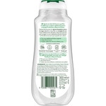 Fresh and Pure silicone-free purifying shampoo organic green tea flask 300 ml for normal-oily hair