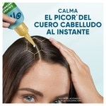 Balsam zum Ausspülen Beruhigend mit Aloe Dosierspender 145 ml für trockene oder juckende Kopfhaut