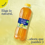 Teegetränk Zitronengeschmack Flasche 500 ml