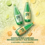 Mineralwasser mit Orangengeschmack Flasche 50 cl