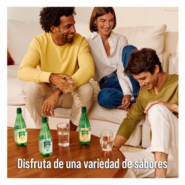 Mineralwasser mit Limettengeschmack Flasche 50 cl