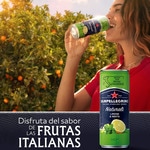 Sparkling natural mineral water with lemon and mint flavour tin 33 cl