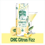 Erfrischungsgetränk mit Kohlensäure mit Zitronen- und Kräutergeschmack Dose 25 cl