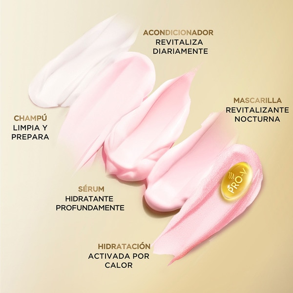 Etui mit 1 Shampoo reinigt und revitalisiert 1 Intensiv-Weichspüler und 1 Weichspülercreme