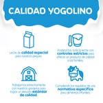 Vanillepudding glutenfrei, ab 6 Monaten, 4er-Pack Schalen 100 g