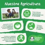 Gemüsegläschen mit Rind, ökologisch, ab 6 Monaten Behälter 190 g