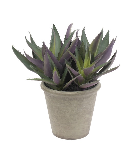 Imagen 0 de Planta artificial de Aloe El Corte Inglés