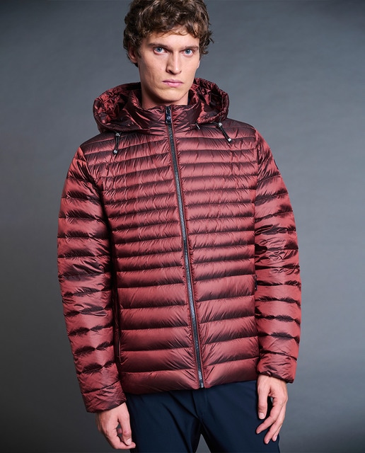 Imagem 0 de Blusão Acolchoado Icónico em Tecido Técnico ao Puro Estilo Street Style