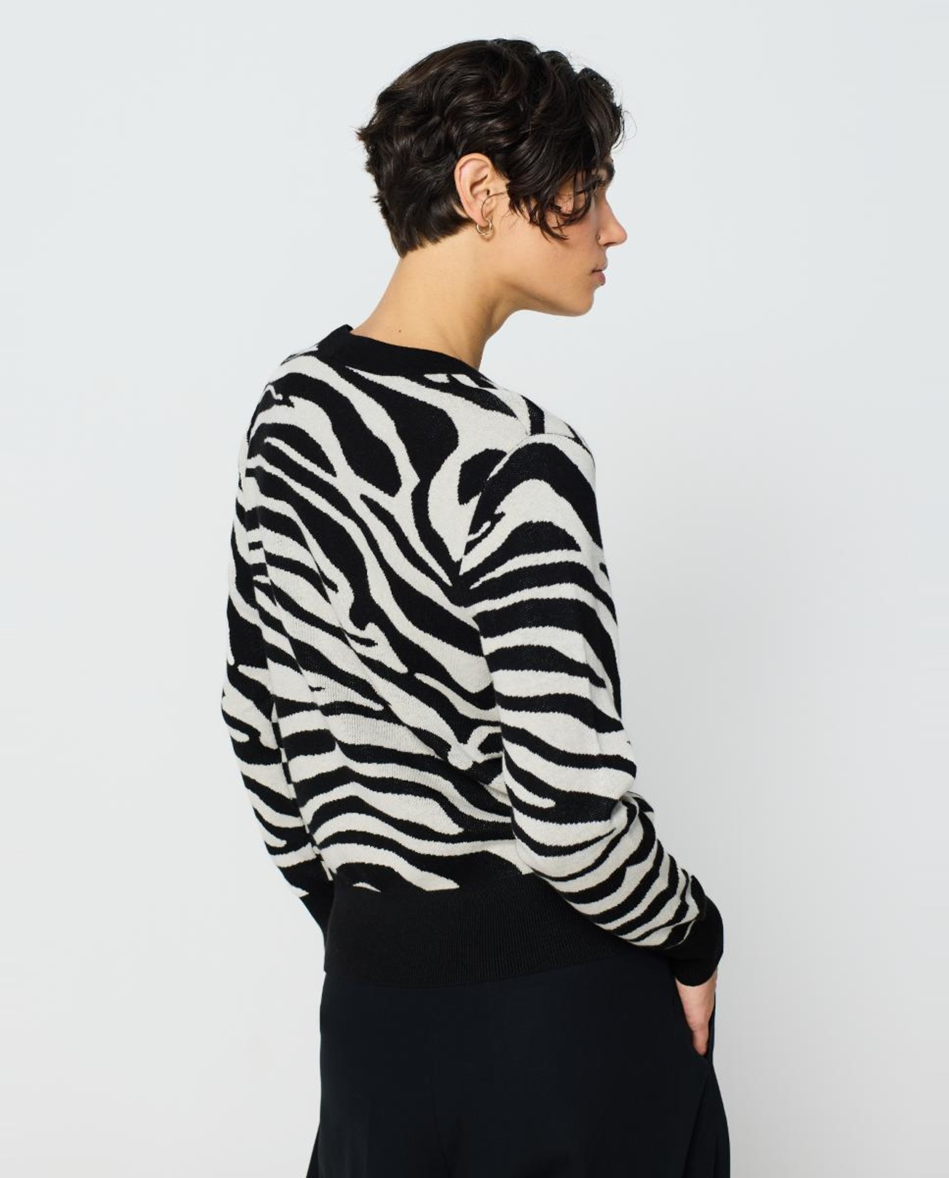 Camisola de Malha de Decote Redondo com Jacquard de Zebra Preto-2