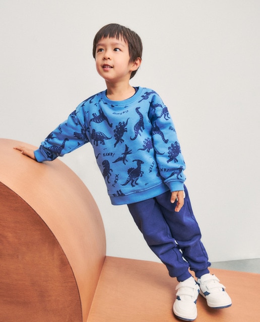 Imagem 0 de Conjunto de 2 Peças com All Over Print de Dinossauro: Sweatshirt Fechada e Calças de Felpa