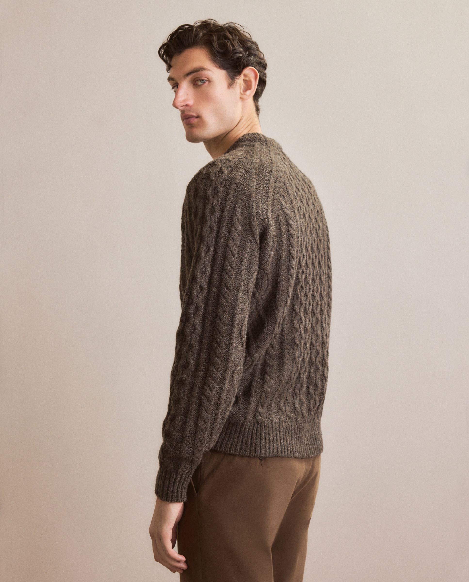 Camisola de Malha com Aran Shetland e Gola Redonda Castanho-3