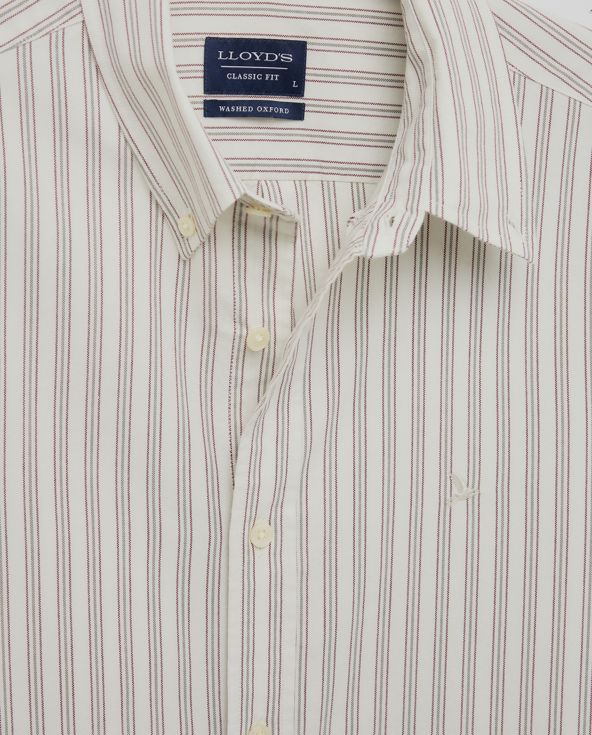 Camisa Oxford Classic Fit Multicolor-5