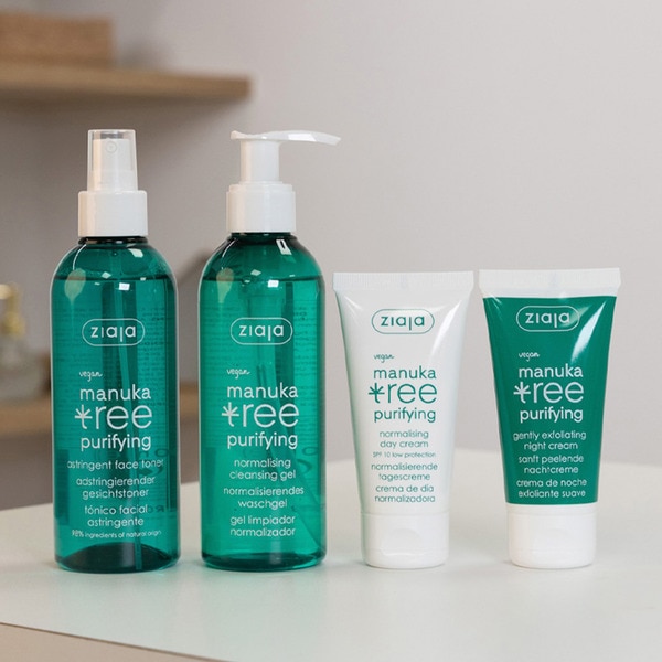 Daily Routine gift set with cleansing gel, astringent face toner, exfoliating day cream and night cream