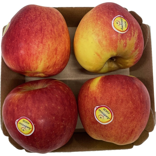 Ambrosia-Apfel Schale 750 g Gewicht ca.