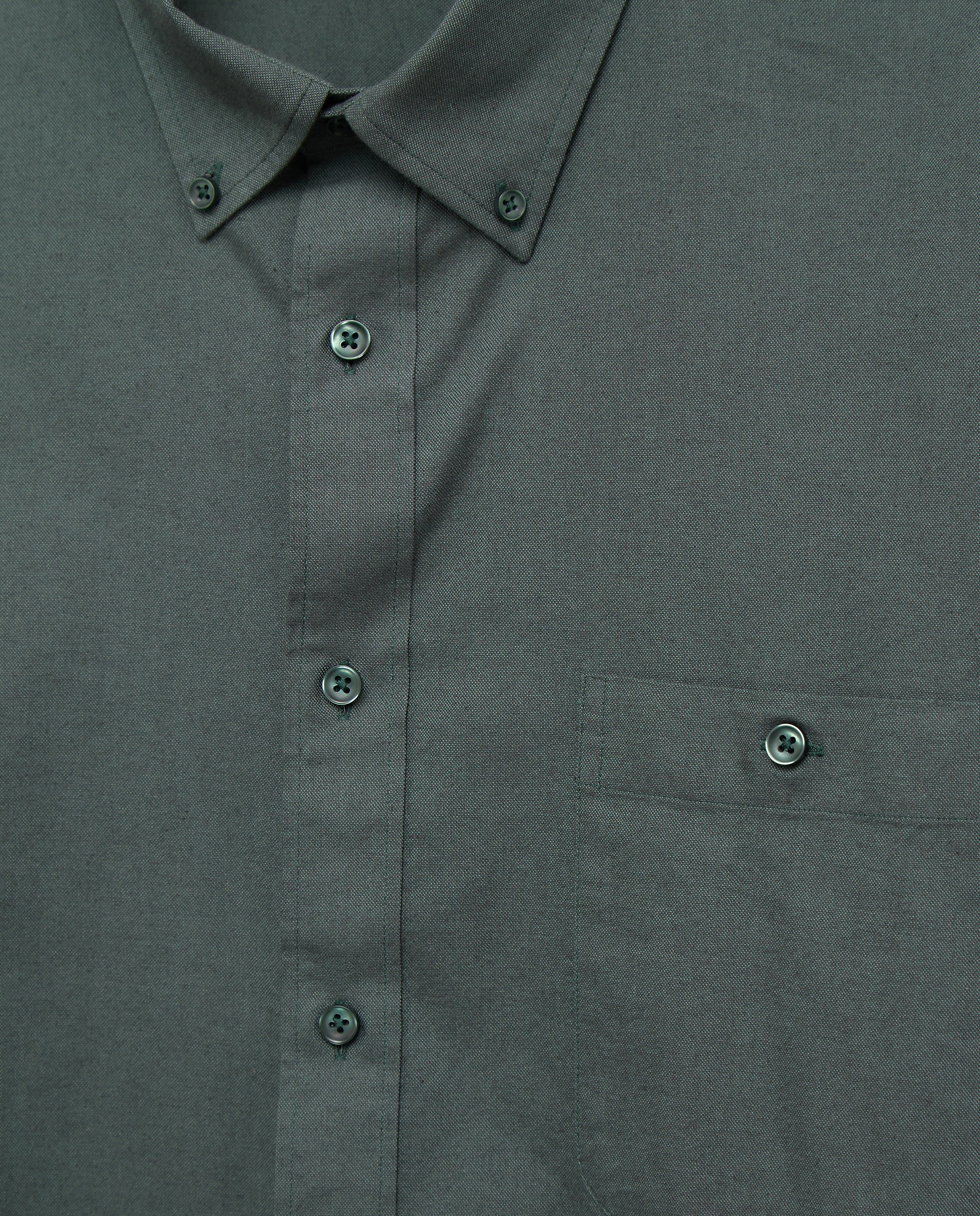 Camisa Oxford Lisa de Manga Comprida com Padrão Clássico Verde-6