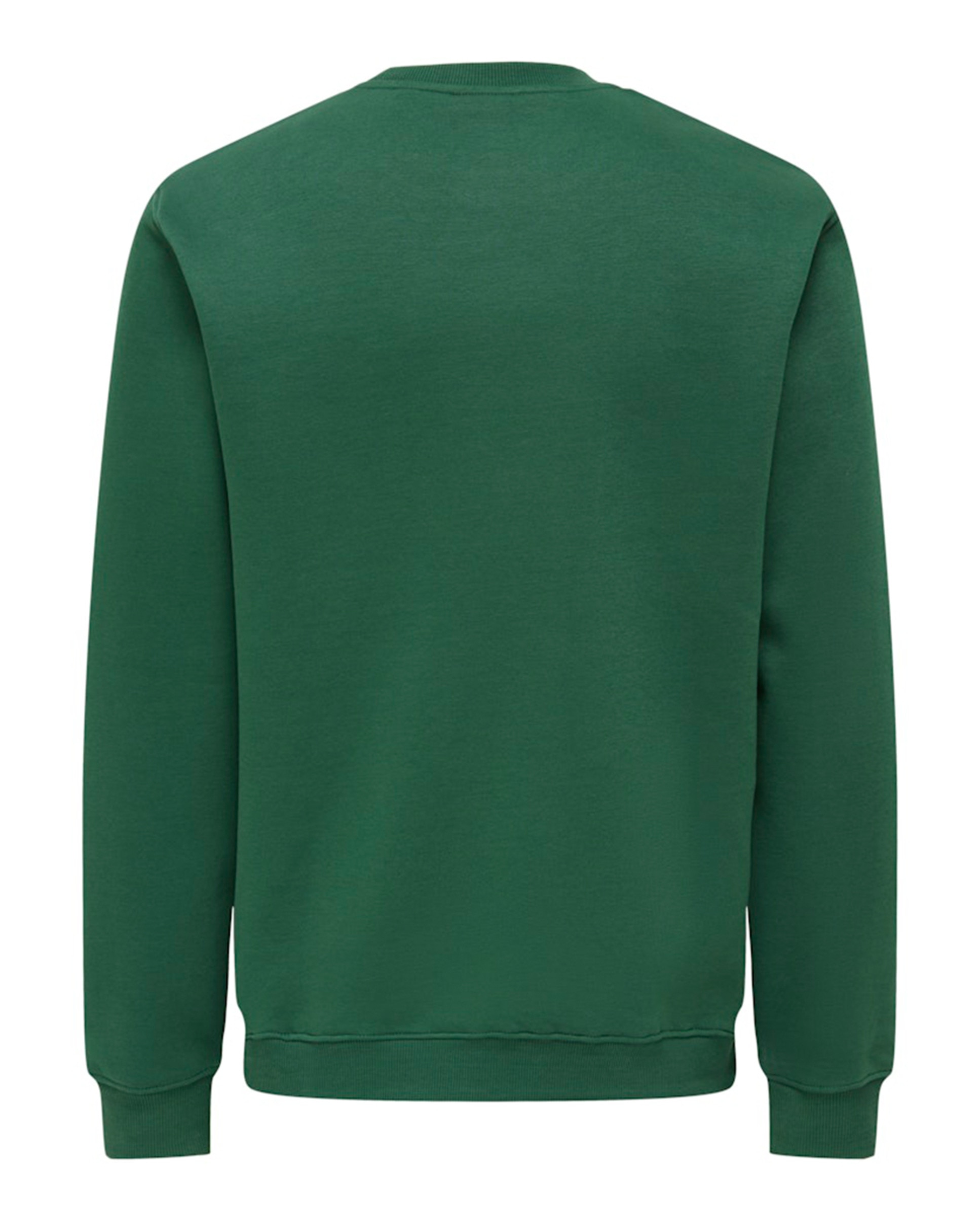 Sweatshirt Regular Fit com Decote Redondo Verde-6