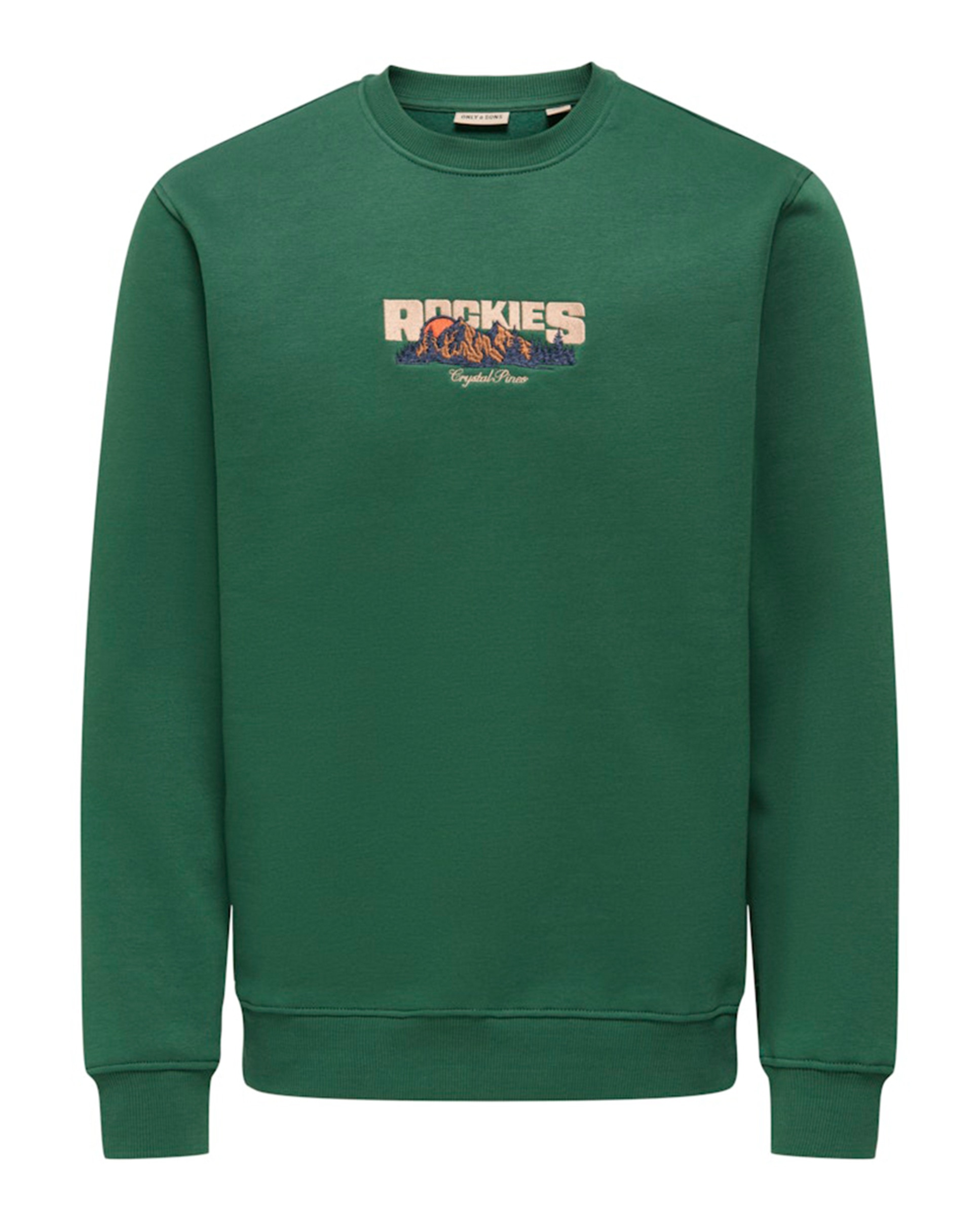 Sweatshirt Regular Fit com Decote Redondo Verde-5