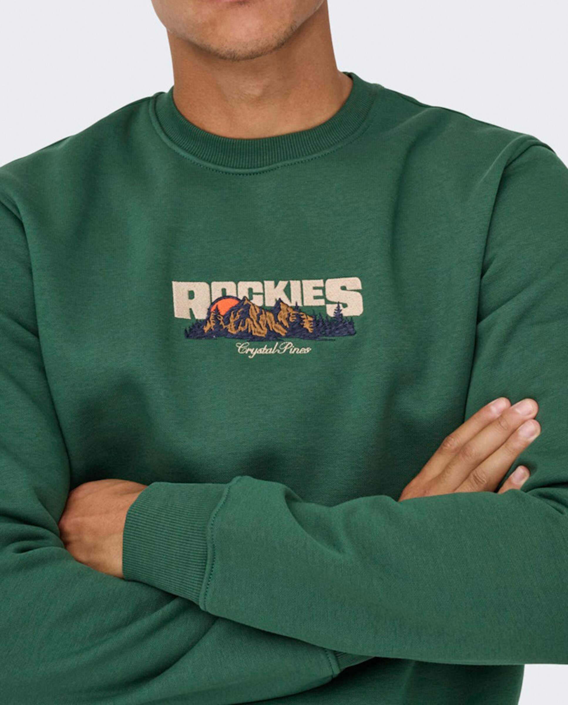 Sweatshirt Regular Fit com Decote Redondo Verde-4