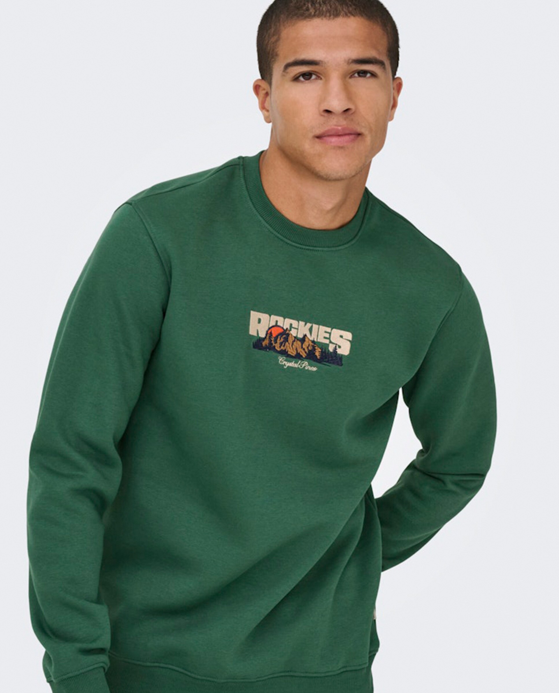 Sweatshirt Regular Fit com Decote Redondo Verde-3
