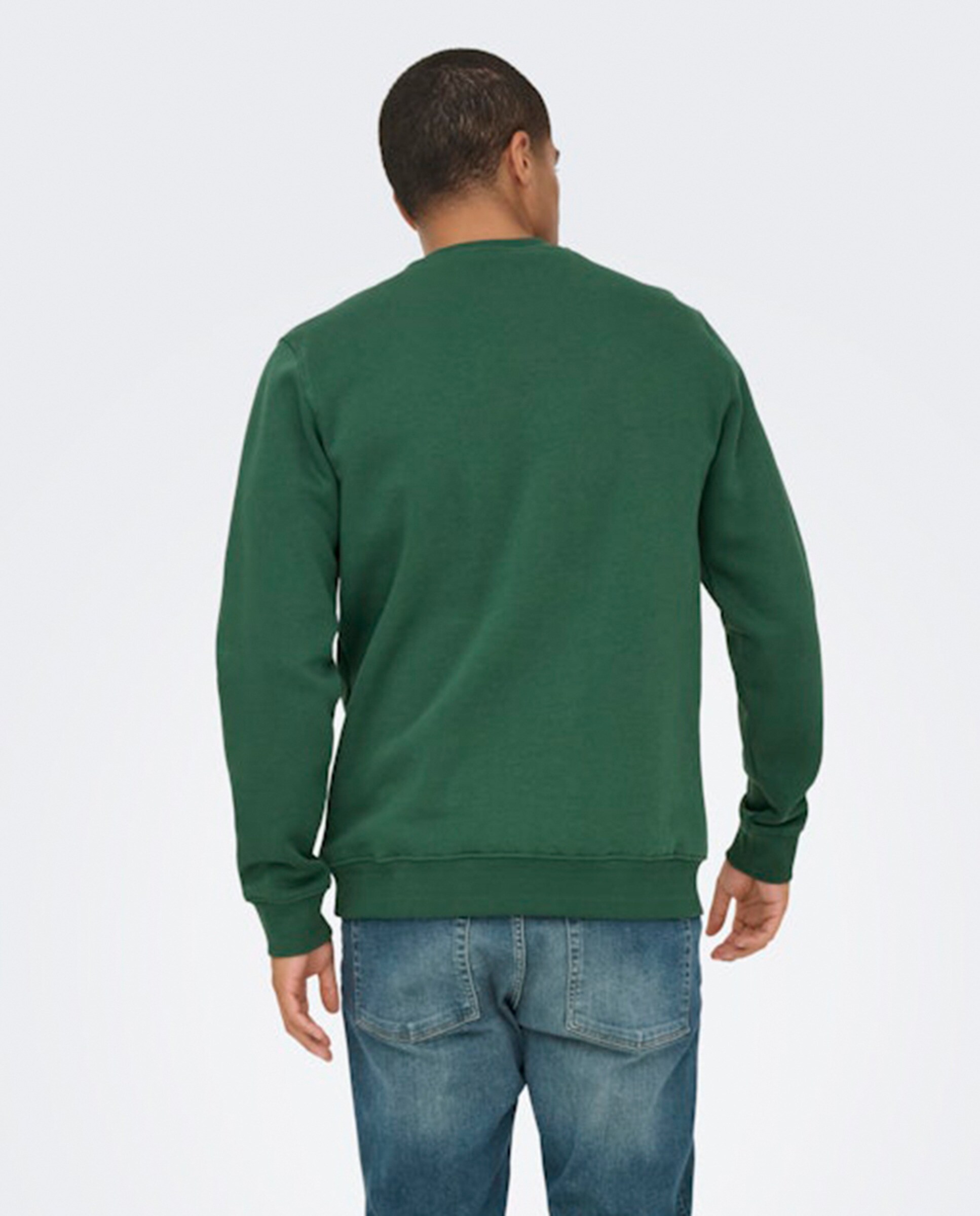 Sweatshirt Regular Fit com Decote Redondo Verde-2