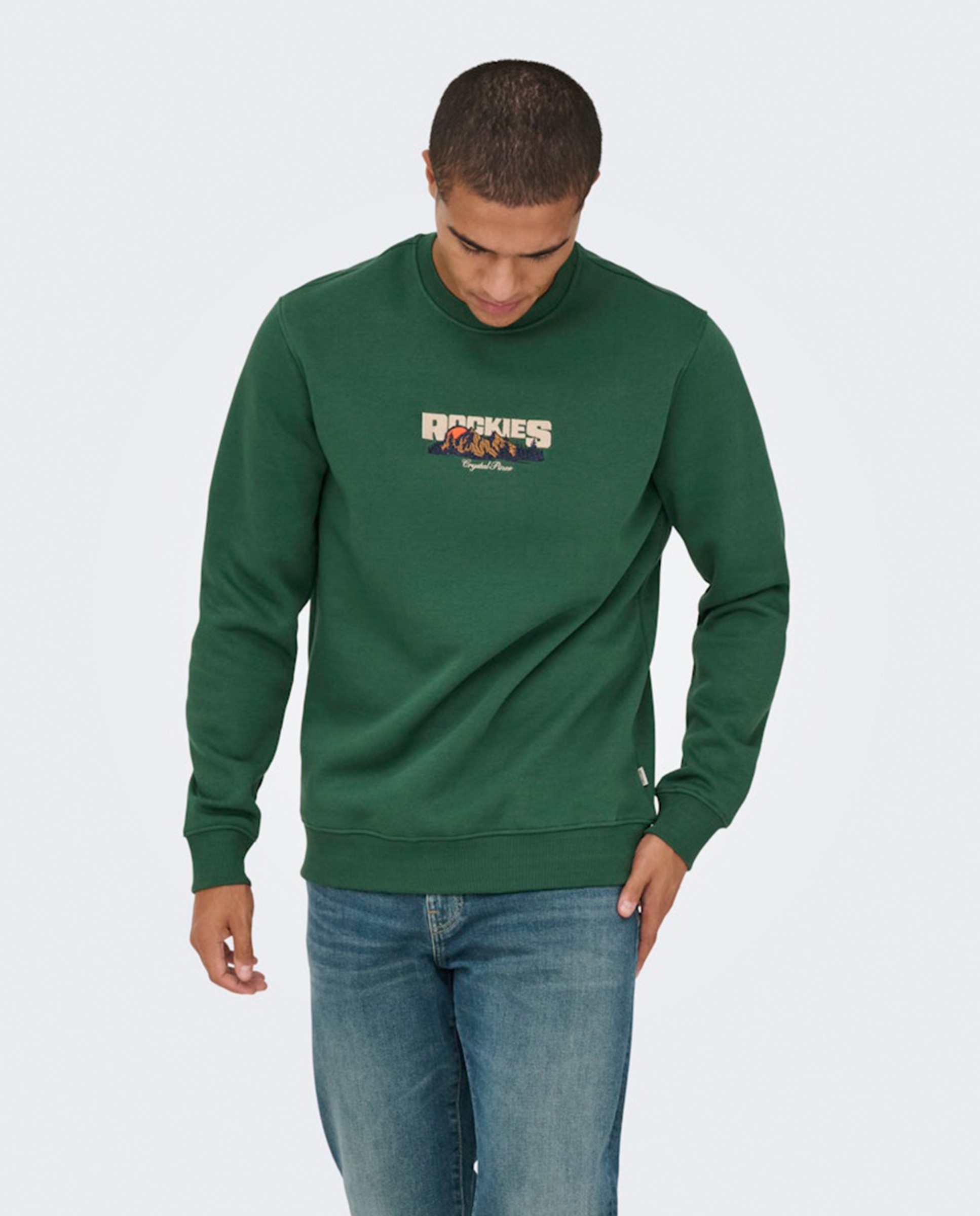 Sweatshirt Regular Fit com Decote Redondo Verde-1